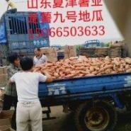 開封1元商品批發(fā)